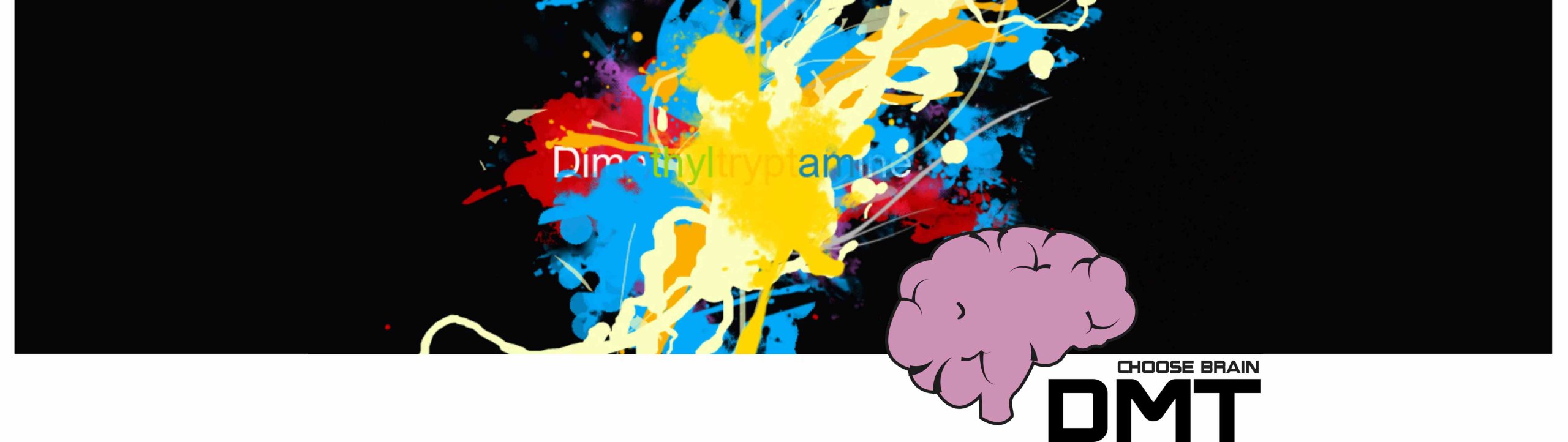 Halloween Dynia, Straszna , Koszulka T-shirt, Rozmiar L