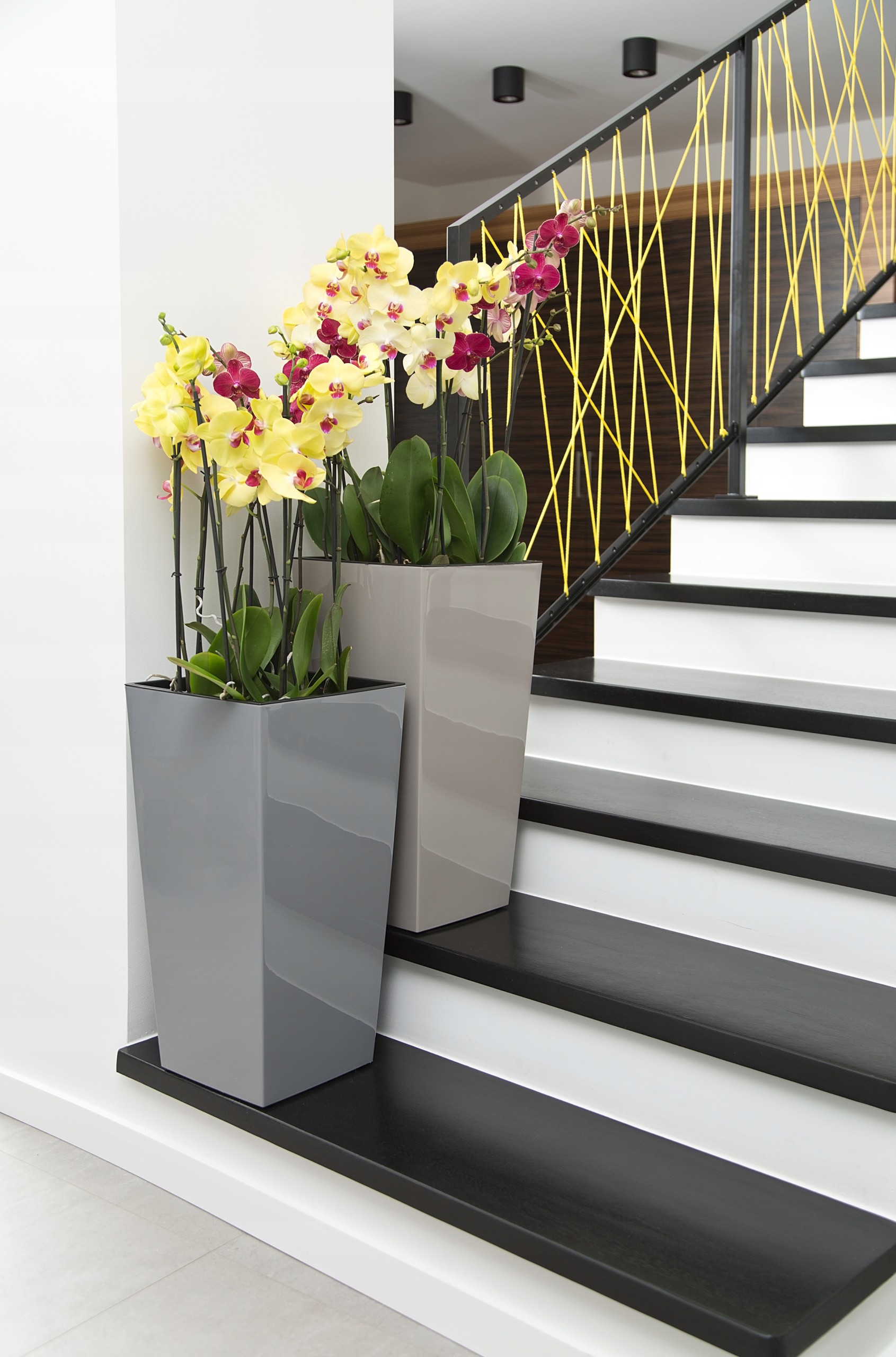 DONICA LAMELA FINEZJA 35x35 h68 Z WKŁADEM BIAŁA Marka Lamela