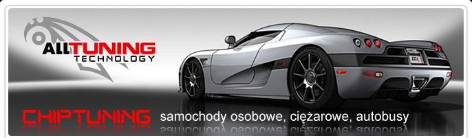 CHIP CHIPTUNING PROFESJONALNIE ZDUŃSKA WOLA Typ samochodu Samochody ciężarowe