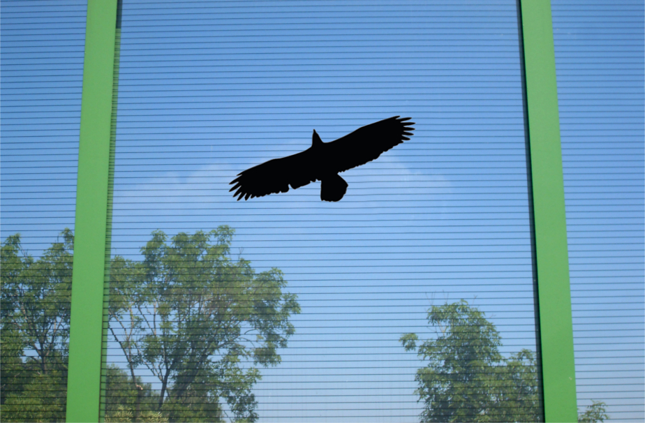 NAKLEJKA PTAKA ODSTRASZACZ PRZECIW PTAKOM L50 Typ inny