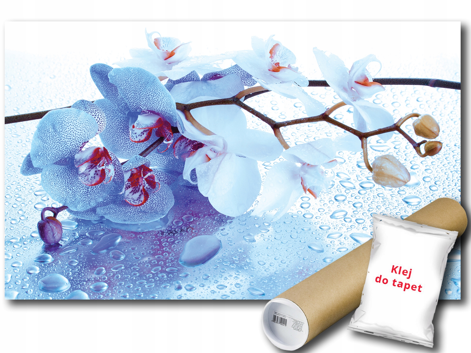 Fototapeta Orchidej 9D F2XL 312x219 F872