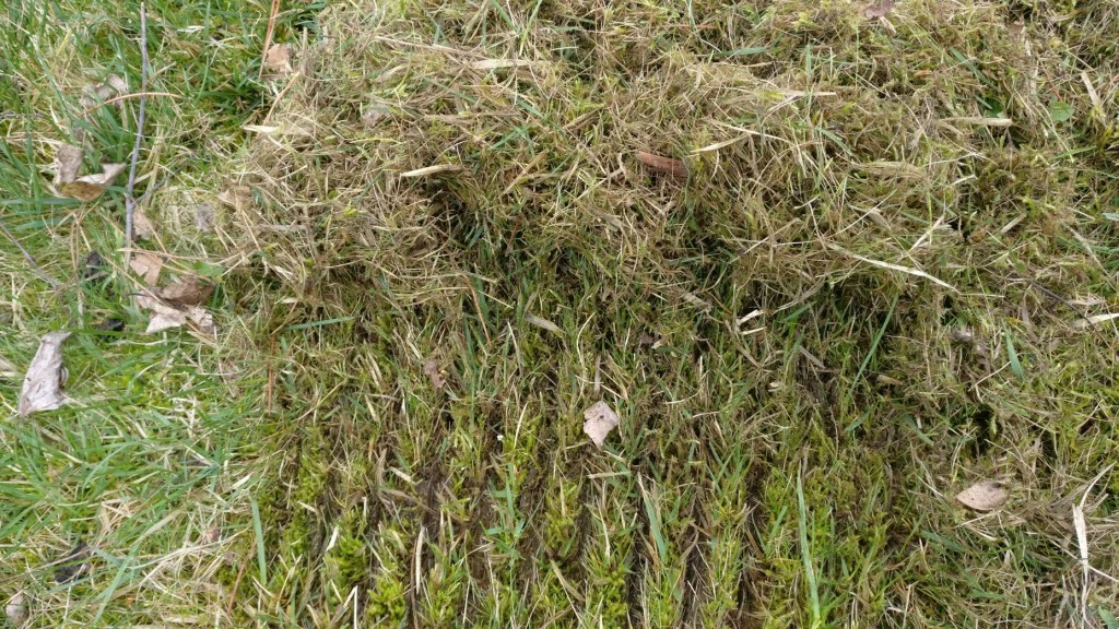 AL-KO 38, 32, AERATOR SPRĘŻYNY SUPER JAKOŚĆ !!! Rodzaj aerator wertykulator