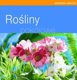 Rośliny pokojowe