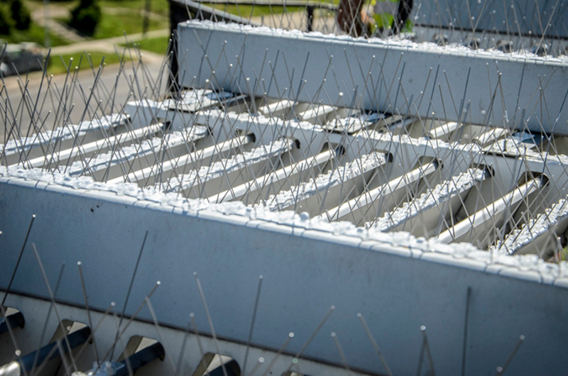 ANTYPTAKI SUPER GĘSTE KOLCE NA PTAKI STOP PTAKOM Rodzaj kolce