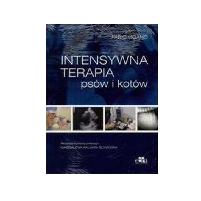 

Intensywna terapia psów i kotów Vigano Fabio