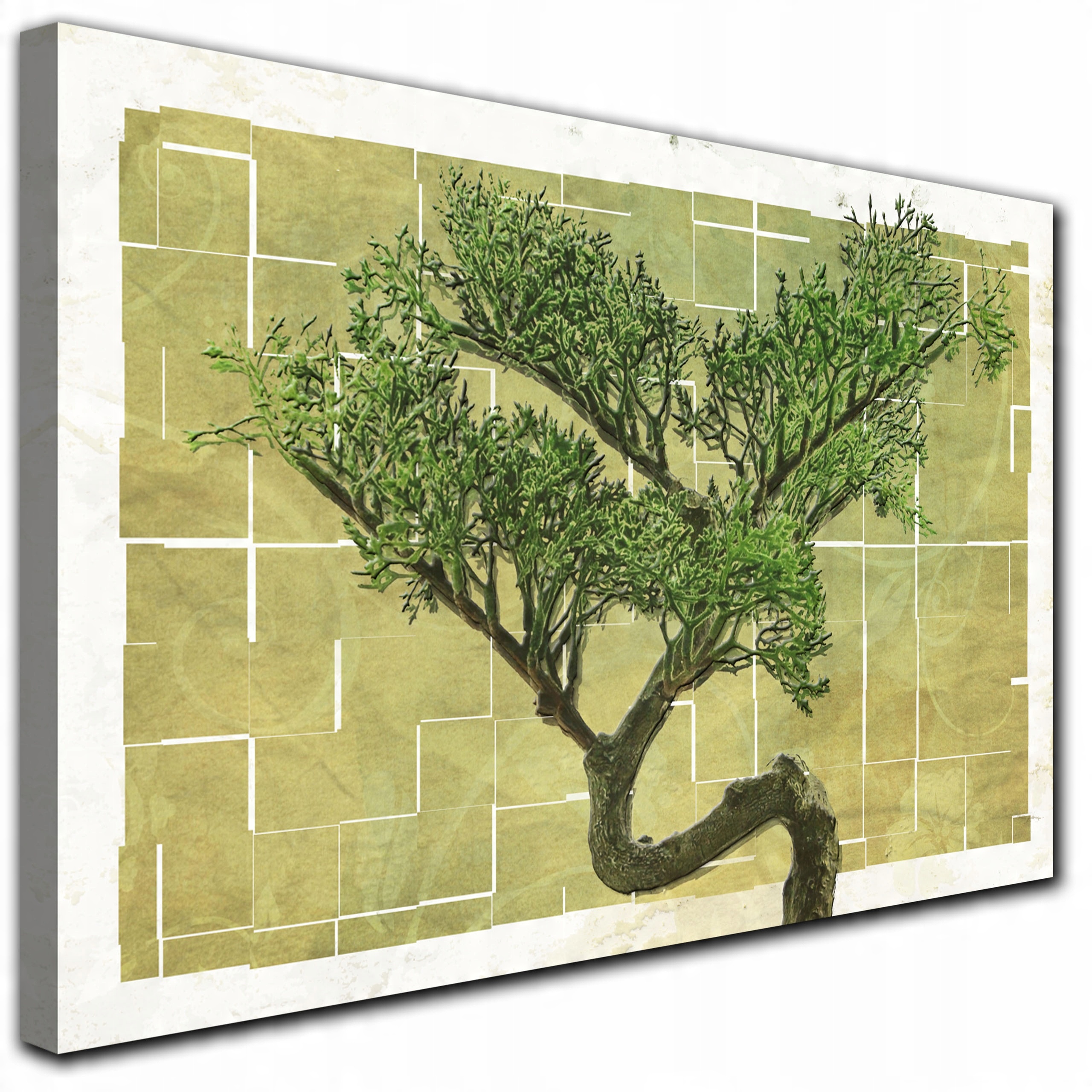 

Obraz na płótnie Drzewo Bonsai biała rama