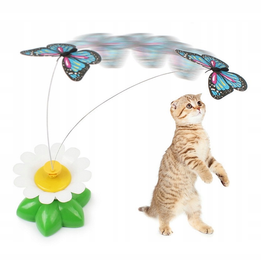 Kot Motyl Zabawka Na Bateriekolczyki Kotki Gratis 7670790416 Kot Motyl Zabawka Na Bateriekolczyki Kotki Gratis 7670790416