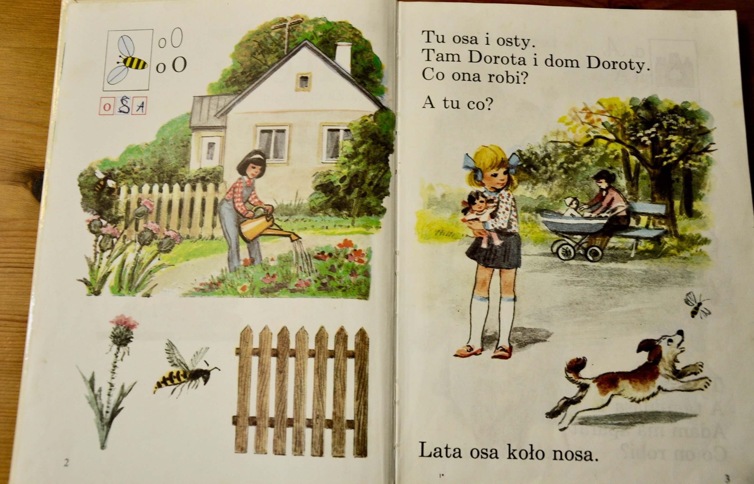 Książka Litery Nauka Czytania Pdf Litery Nauka czytania E. Przyłubska F. Przyłubski - 7195226043