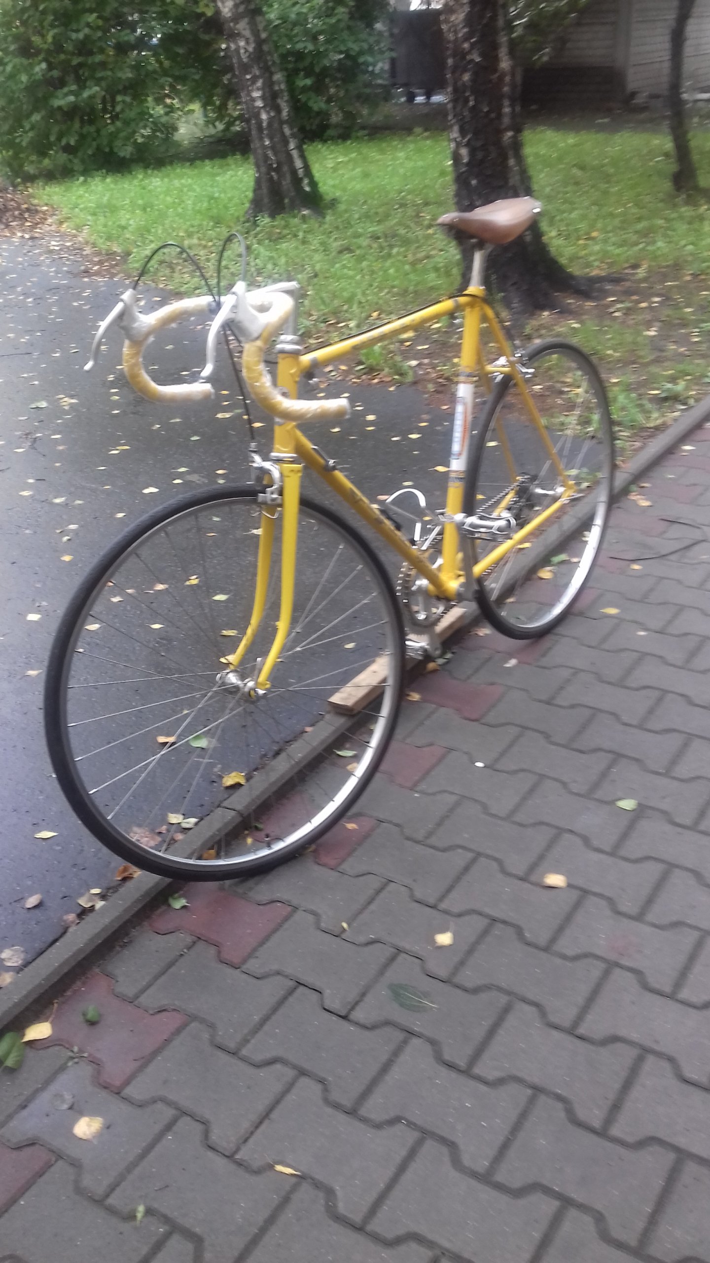 Rower kolarski Jaguar Special 7307479722 oficjalne archiwum allegro