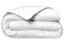фото mini №1, Blanket 140x220 year-round manufacturer anti-allergic winter summer elongated