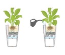фото mini №15, Flowerpot lechuza cubico color 22 muszkat