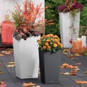 фото mini №3, Flowerpot lechuza cubico color 30 muszkat