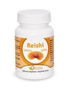 Reishi Mushroom 350 mg (ODPORNOŚĆ) 100 tabletek