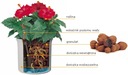 фото mini №2, Hydroponics set liner 32/ 28+ indicator h28