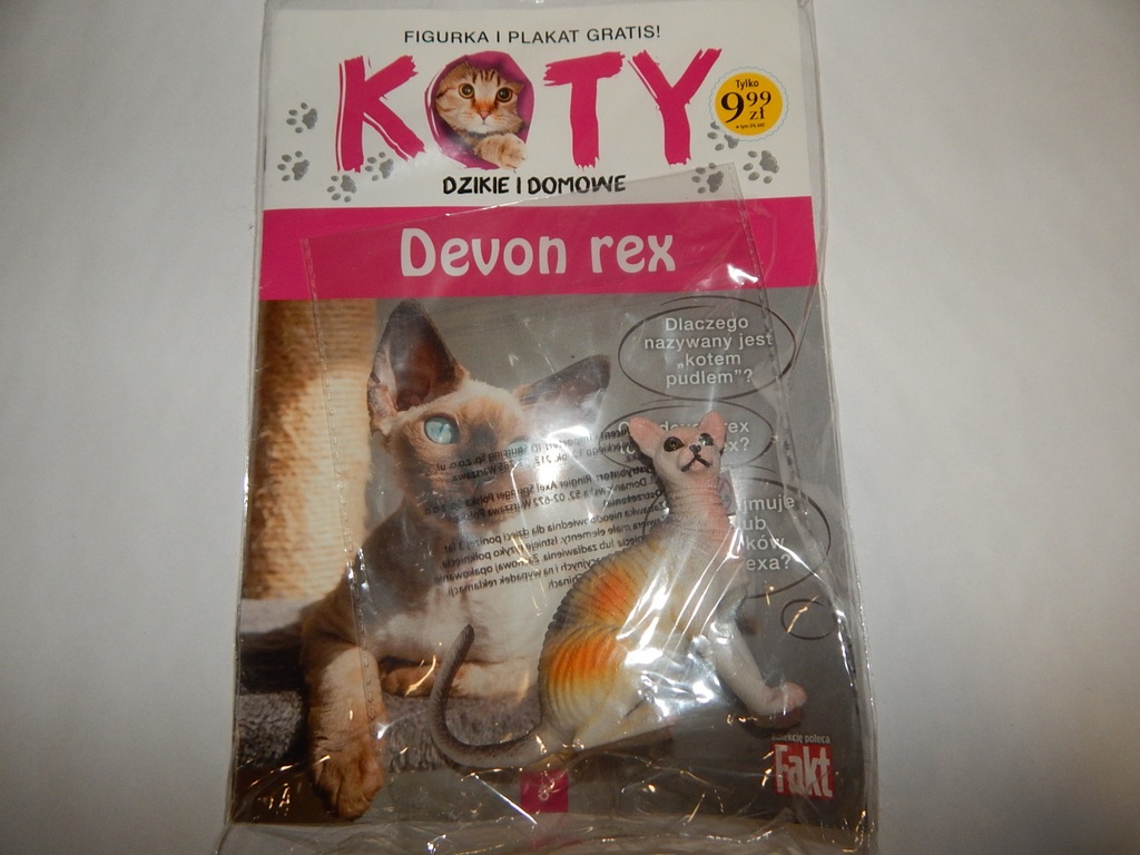 KOTY NOWA KOLEKCJA CZ.8 DEVON REX