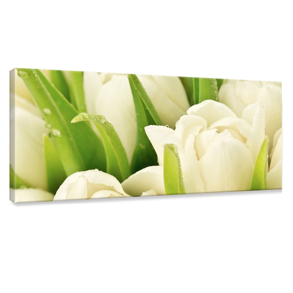 Obrazy do salonu 80x40cm Piękne Tulipany Kwiaty