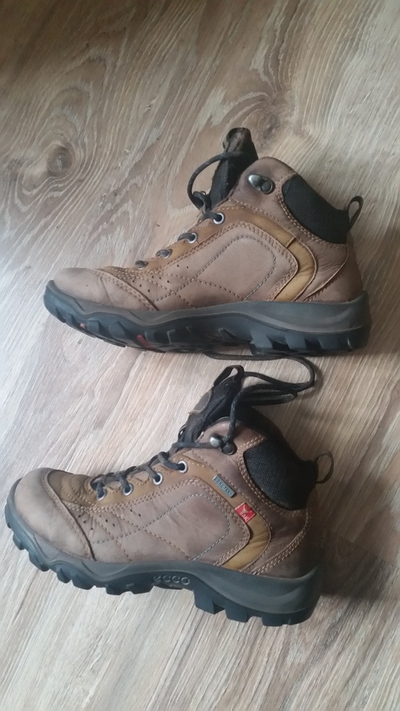 ecco 36