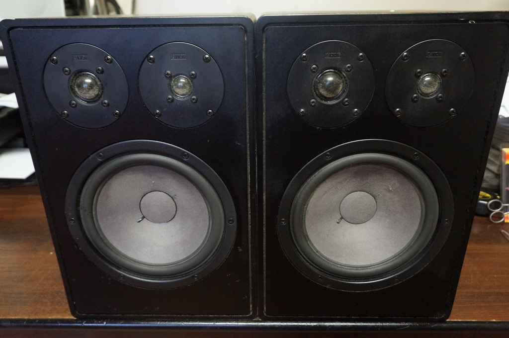 CANTON FONUM 100 # AUDIOFILSKIE MONITORY 