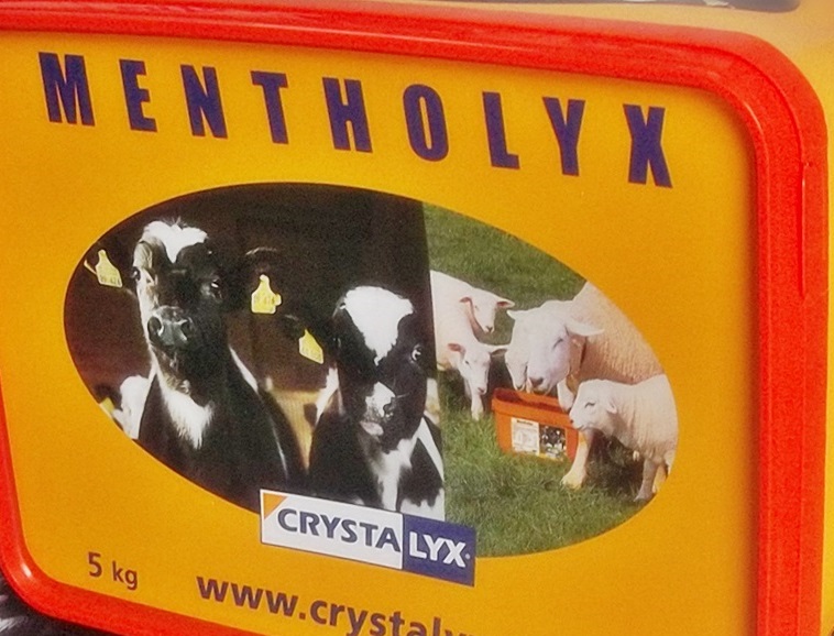 lizawka CRYSTALYX MENTHOLYX  na kaszel dla cieląt