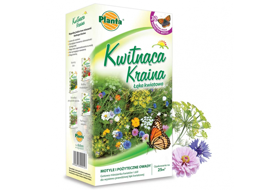 Łąka kwietna trawnik kwiatowy ZWABIAJĄCY MOTYLE