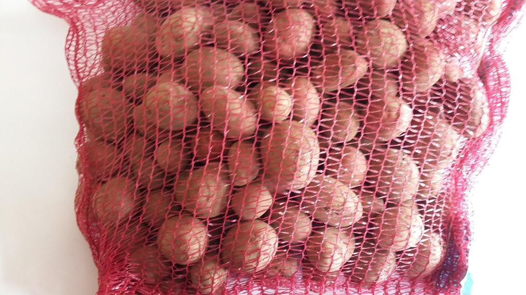 ZIEMNIAKI SADZENIAKI KWALIFIKOWANE KL.A RED ANNA 5
