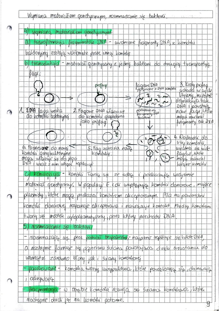 Notatki Z Biologii Rozszerzonej Pdf Notatki maturalne z biologii Matura Biologia 2017 - 6959912247