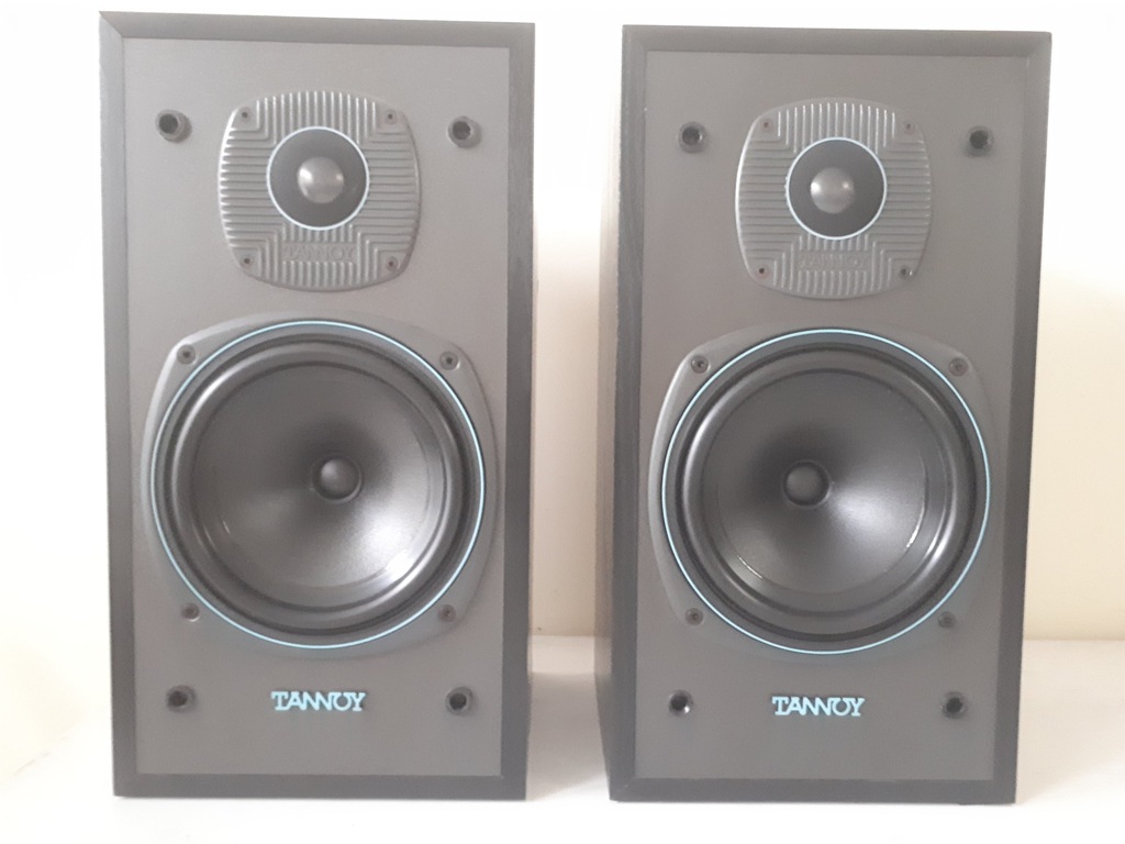 Tannoy e11