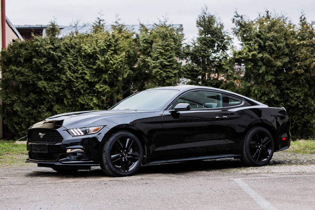 FORD MUSTANG 2017 BLACK SERIES 2,3 TURBO 13,TYS KM