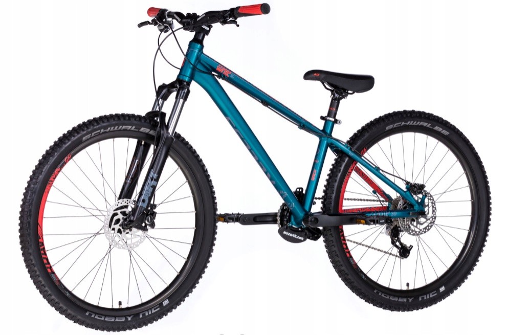 Rower wyczynowy Kellys WHIP 30 DIRT 7389409185 oficjalne archiwum