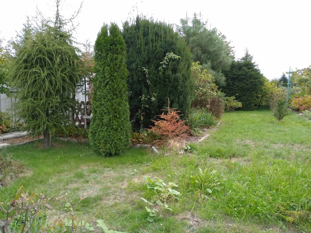 Ogródek działkowy