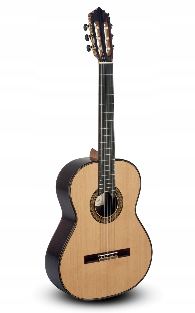 Gitara klasycznaPaco Castillo 205