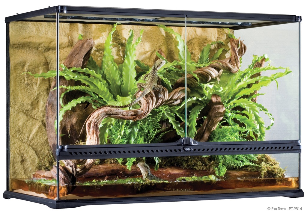 Exo Terra terrarium szklane Large Tall 90x45x60