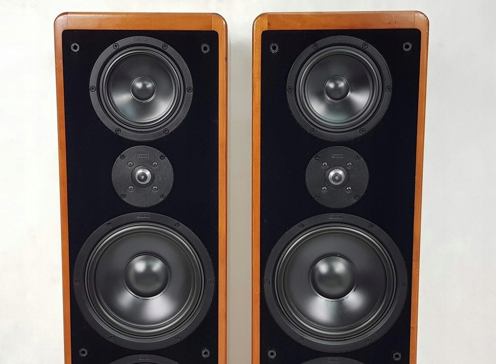 CANTON ERGO SC-L KOLUMNY STEREO - WYBITNE - 7739817828 - oficjalne ...