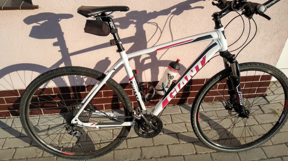 Rower crossowy Giant roam 1 7591871678 oficjalne archiwum Allegro