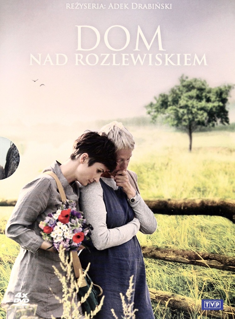 DOM NAD ROZLEWISKIEM (Joanna Brodzik) BOX [4DVD]