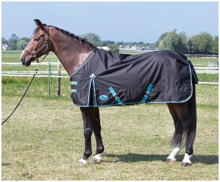 HARRY'S HORSE  NAKRYCIE DLA KONIA CZARNE 145CM
