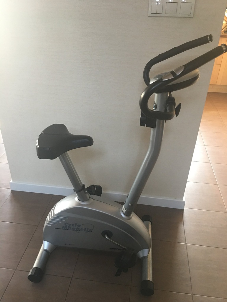 Rower treningowy stacjonarny Proteus PEC 1735