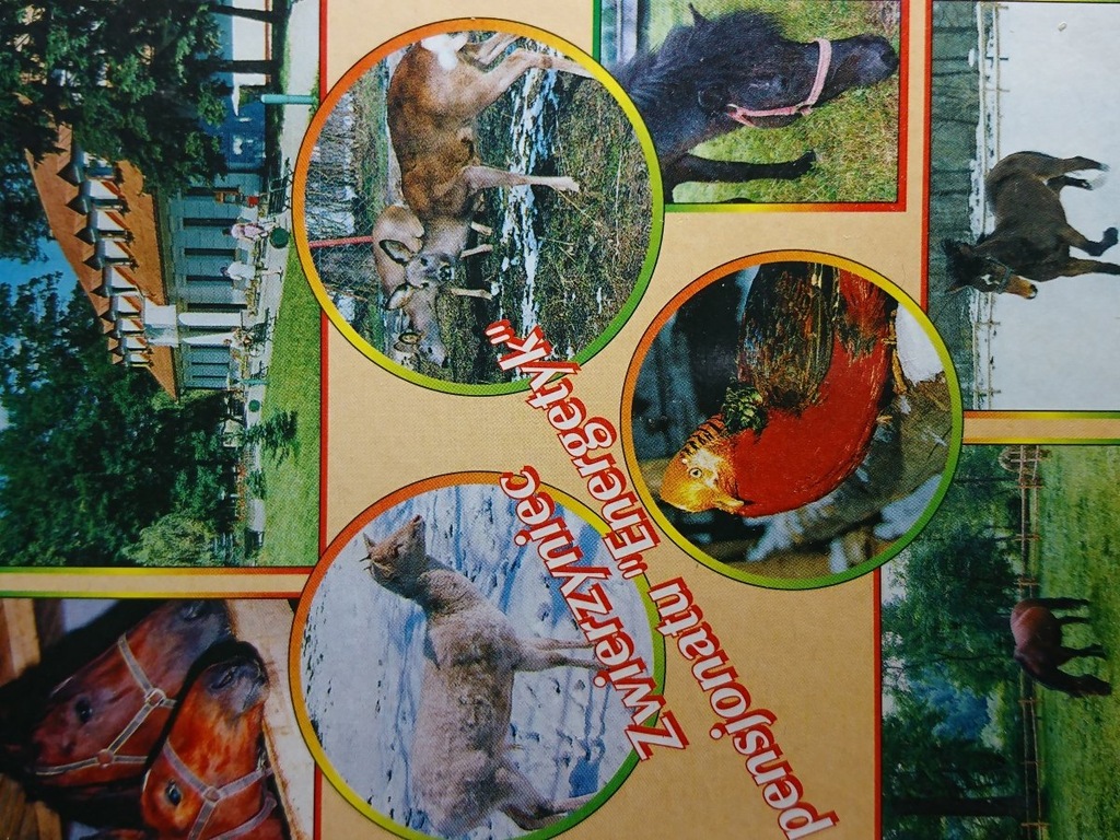 RABA NIŻNA - PENSJONAT 'ENERGETYK' FOT. T. WŁASI