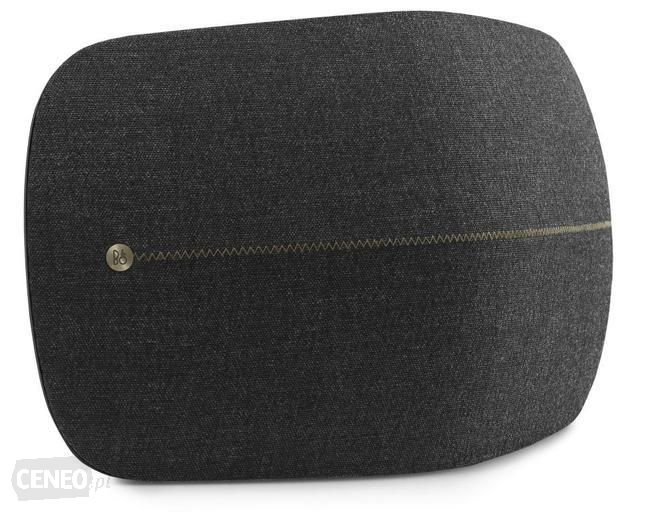 Bang&Olufsen , Beoplay A6 / Special Edition