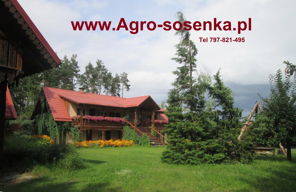 Agroturystyka wędkarstwo sport-kurpie mazury