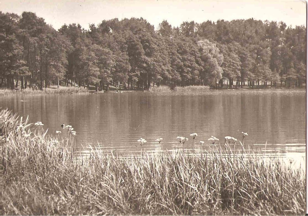 POBIEDZISKA -- JEZIORO - DOBRE -- TRZCINY -- 1967