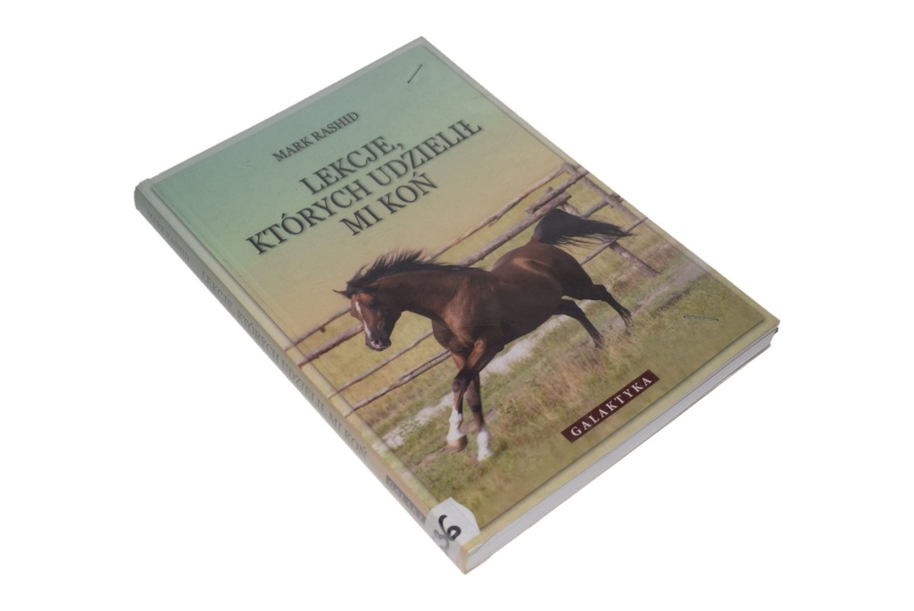 LEKCJE KTÓRYCH UDZIELIŁ MI KOŃ Rashid