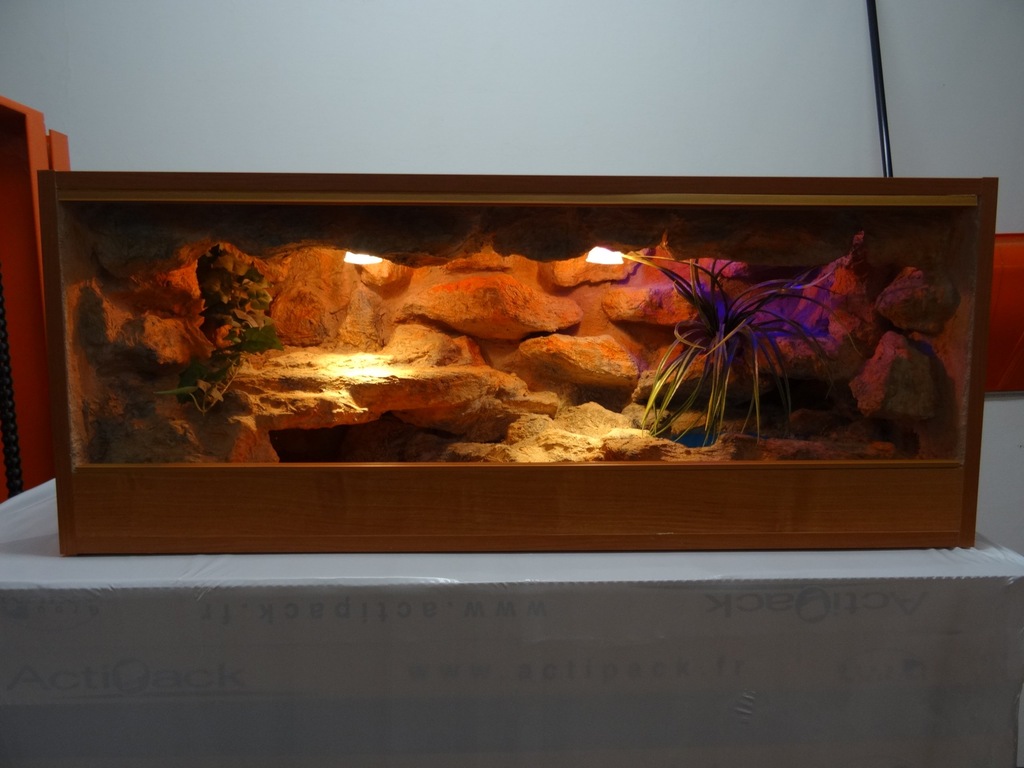 Terrarium Dla Węża Zbożowego Z Wyposażeniem