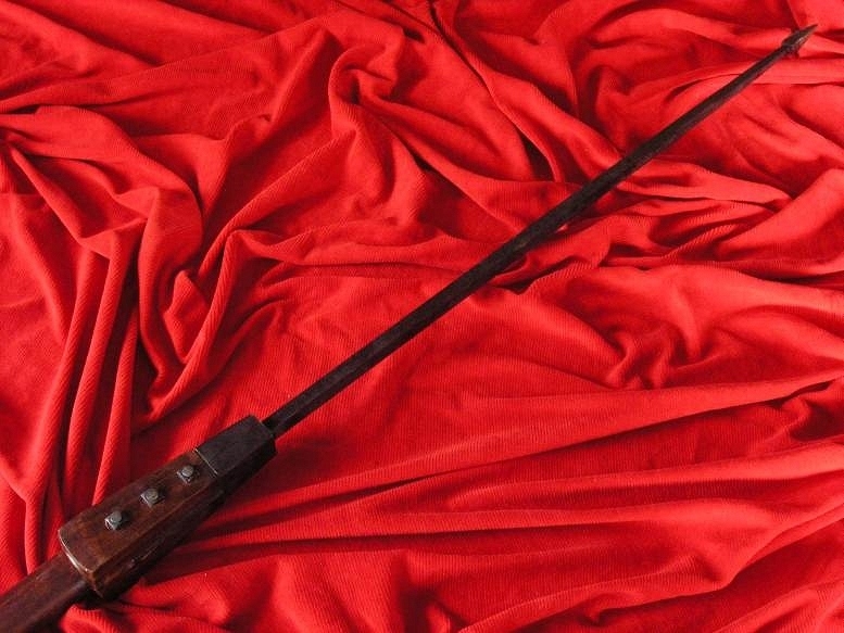 HISTORYCZNY RZYMSKI OSZCZEP PILUM (AGI3526.09)