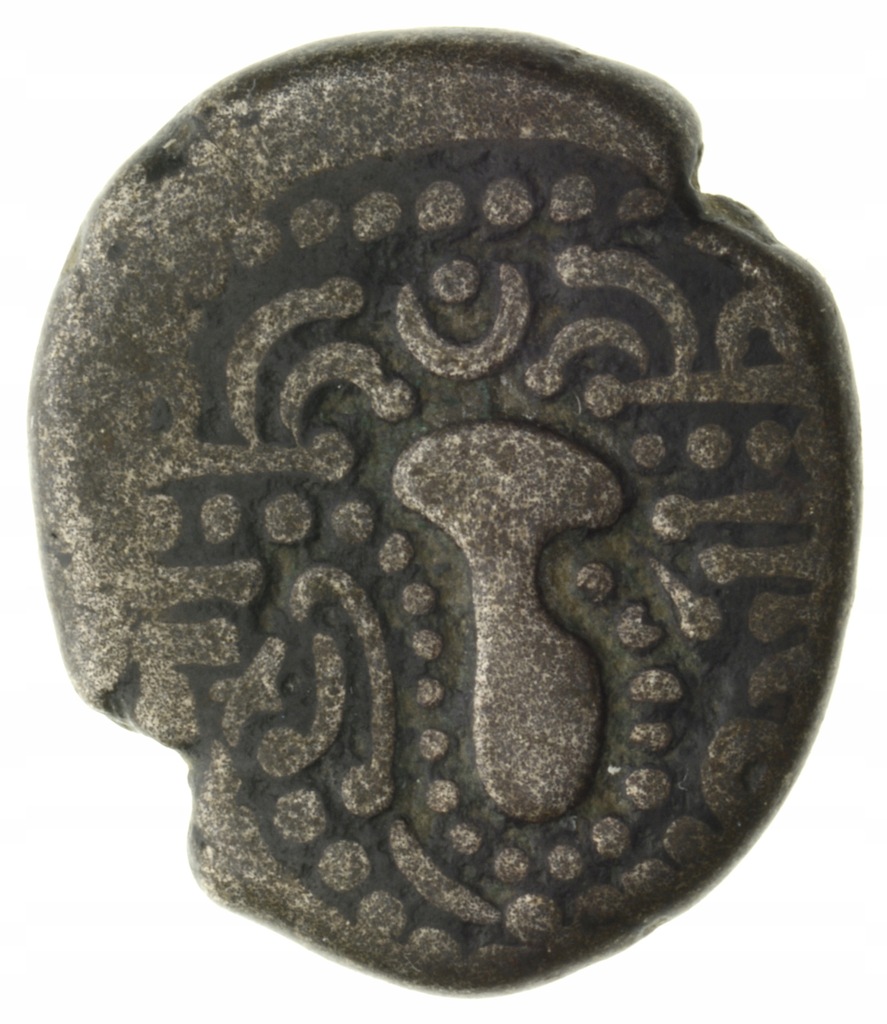 Drachma 950-1150 r. Indo-Sasanidzi, Chaulukya