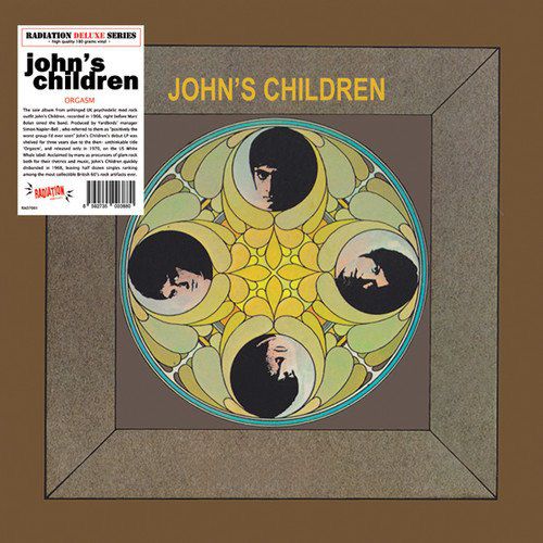 JOHNS CHILDREN: ORGASM (WINYL)
