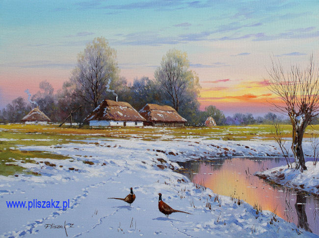 **MARCOWE POLA**-30x40-PLISZAK BCM !!!