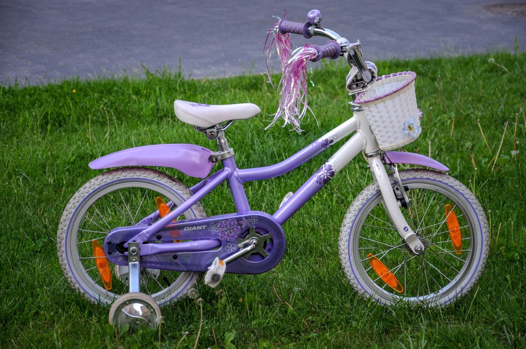 rowerek Giant Puddin dla dziewczynki 16 cali