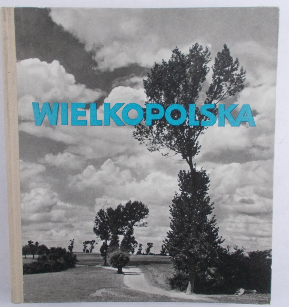 Stanisław Cozaś  - Wielkopolska