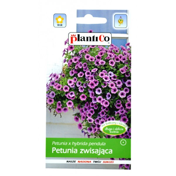PETUNIA ZWISAJĄCA FORTUNA typ Surfinia nasiona